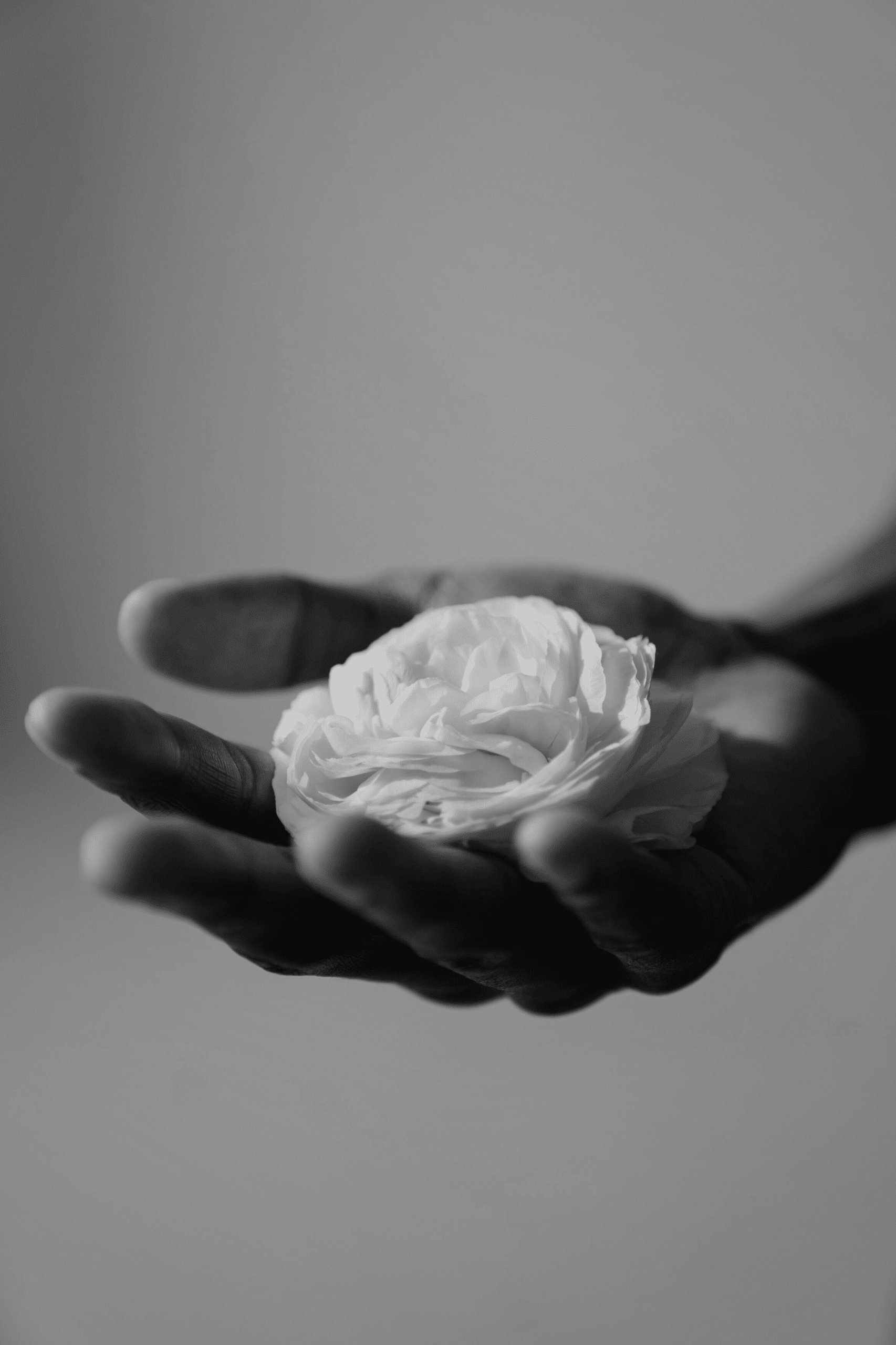 Foto di mano che tiene un fiore